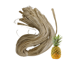 Export Quality Top Selling Low Price Vietnam Factory Textile Grade <b>Pineapple</b> Leaf Fiber Packed in 10 kg Bag - Product Image 1