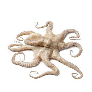 Poulpe frais, idéal pour la grillade, la cuisson et la préparation culinaire - Product Image 1