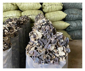 Fonge noire séchée naturelle en vrac, champignon oreille de bois de qualité supérieure, fournisseur en gros - Product Image 1