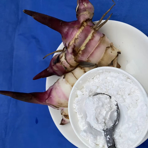 Poudre d'amidon de racine d'arrowroot à prix compétitif, ingrédient naturel biologique pour la transformation alimentaire, emballée en sacs en vrac, Vietnam - Product Image 1