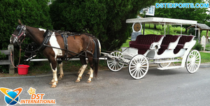 Carriage Victoria noir quatre places de style vintage Carriage victorien australien tiré par des chevaux Chariot Vis-A-Vis de tourisme fiable - Product Image 2