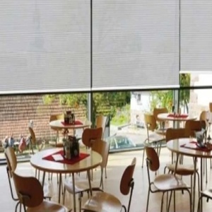 Stores, volets et persiennes de luxe Wellmark fabriqués en Corée pour la maison et le jardin, y compris les stores enrouleurs et les stores verticaux. - Product Image 3