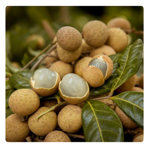 Longan Congelado, Gran Venta, Calidad Premium, Éxito de Ventas - Product Image 1