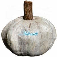 Getrocknete Blumen Kürbis Heimdekoration Herbst Häkelkürbis Muttertag Valentinstag Weihnachten Hochzeit Umweltfreundlich