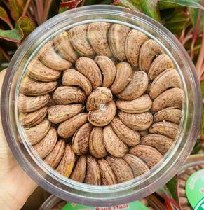 Premium Vietnamese Cashew Nuts Salted Roasted High Quality Ready to Export Bulk Wholesale Supplier Best Price - Product Image 3