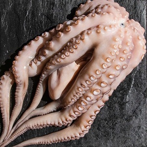 Pulpo Bebé Congelado de Primera Calidad, Suministro al por Mayor, Grado Alimenticio, Listo para Enviar, Exportación de Mariscos de Alta Calidad - Product Image 6