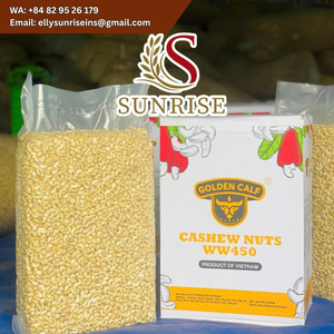 Anacardi Crudi Sottovuoto WS LP SP LWP DW dal Vietnam - Fornitore di Punta per Noci di Anacardo - Product Image 2