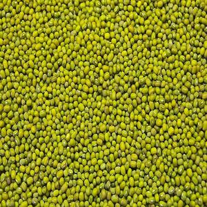 Venta al por Mayor de Frijoles Mung Verdes Orgánicos Sin OMG de Alta Calidad, 100% Puros y Naturales a Granel - Product Image 4
