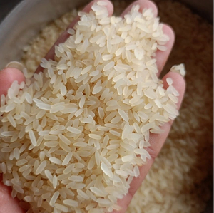 Riz étuvé de qualité supérieure, directement de l'usine, emballage en vrac, riz étuvé pour supermarchés, détaillants et industrie de la restauration - Product Image 2