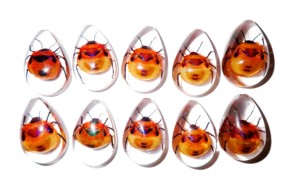 Cabujón de Plástico con Espécimen Real de Insecto Floral, Corte en Forma de Pera, 33x22 mm, Base Plana Transparente para Manualidades y Joyería - Product Image 3