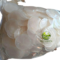 Disco Circular de Concha de Capiz Natural Pulido a Mano con Dos Orificios para Colgar, Adorno Decorativo para Manualidades del Hogar