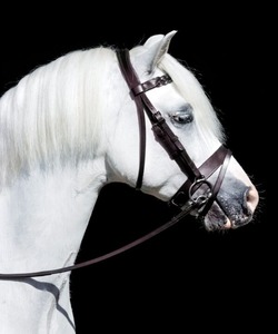 Bridon Field Master anatomique en cuir de première qualité avec têtière anatomique rembourrée et frontale tressée. - Product Image 2