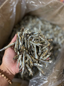 Anchois séchés au soleil de haute qualité 100% naturels, provenant directement de Binh Duong, Vietnam, durée de conservation de 24 mois, à conserver dans un endroit frais et sec, riches en protéines - Product Image 4
