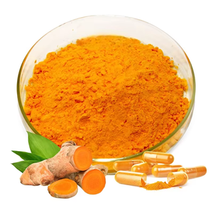 Extrait de racine de curcuma pur à 100 % de qualité OEM pour l'exportation, poudre de curcuma naturelle de qualité alimentaire à 95 % pour le soutien immunitaire et articulaire - Product Image 6