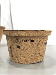 Pot en fibre de coco du Vietnam conçu pour la pépinière, le jardinage, la plantation et les applications décoratives - Product Image 6