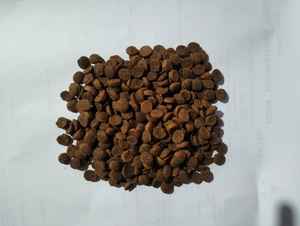 Alimento Natural Premium para Mascotas, Croquetas Secas Balanceadas para Perros y Gatos, Nutrición Completa, Alto Contenido de Proteínas, Refuerzo Inmunológico, OEM, ODM, Marca Privada - Product Image 5