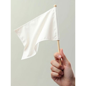 Guirnalda de Banderas Internacionales Personalizadas y Transpirables, Surtido de Países, Patrón Sólido, Tejido de Malla de Polipropileno - Product Image 2