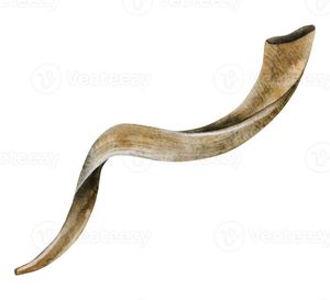 1. Shofar naturel en corne de bélier, trompette artisanale traditionnelle, instrument pour les cérémonies religieuses juives, le culte et les festivals - Product Image 3