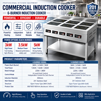 Cuisinière à induction commerciale à 6 brûleurs, cuisinière à induction électrique en acier inoxydable pour restaurant, hôtel, cuisine commerciale