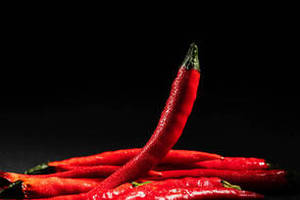 Piments rouges naturels entiers 100% purs, séchés, grossiste/commercant/producteur du Gujarat, FitTree International - Product Image 2