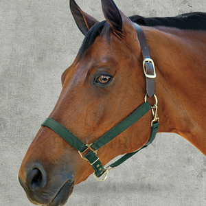 Nylon Horse <b>Halter</b> with Leather Crown Brass Hardware Adjustable Headcollar with Snap Hook - Product Image 5