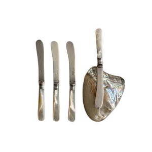Antique Mother Of Pearl Butter Knife Set Vintage Silver Plated With <b>Abalone</b> <b>Shell</b> Holder Elegant Decorative Tableware Home Gift - Product Image 1