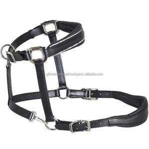 Cabestro de caballo de cuero acolchado con diseño anatómico decorativo de cristales personalizados de 2 filas tamaños personalizados con herrajes de latón y níquel - Product Image 5