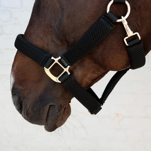 Harnais pour cheval en nylon de qualité supérieure, logo personnalisable, emballage personnalisé, harnais réglables, best-seller pour l'équitation - Product Image 3