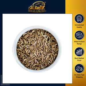 เมล็ดยี่หร่าสดเครื่องเทศเกรดอาหารสำหรับการปรุงรสและใช้ในอุตสาหกรรม - Product Image 6