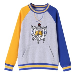 Sudadera con Escudo de Chenilla Sigma Gamma Rho para Mujer, Azul Grisáceo, Cuello Redondo, con Bolsillo, Estilo Casual - Product Image 1