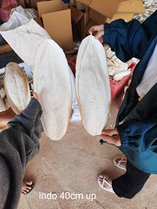 Hueso de Sepia (Cuttlebone) Seco de Alta Calidad, Golosina para Aves, para la Salud de la Piel y el Pelaje, para Razas Pequeñas, Directo de Fábrica - Product Image 3