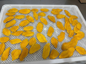 มะม่วงอบแห้ง ผลไม้เมืองร้อน ขนมขบเคี้ยวผลไม้อบแห้ง สำหรับการจัดจำหน่ายขายส่งทั่วโลก รสหวาน เคี้ยวหนึบ ผลิตจากเวียดนาม - Product Image 6