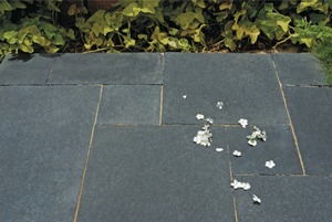 หินปูนสีดำคุณภาพสูงสำหรับห้องครัว พื้นห้องน้ำ และตกแต่งบ้านด้วยหินปูนที่มีสไตล์ - Product Image 2