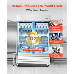 Congelatore Commerciale in Acciaio Inox da 43,2 Piedi Cubi, Larghezza 32,2 Pollici, Doppia Porta, Verticale, Scongelamento Automatico, 8 Pollici - Product Image 3