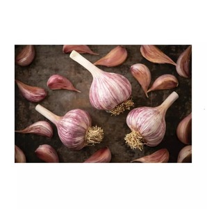 Ail frais pelé de qualité supérieure en gros à prix avantageux - Product Image 5