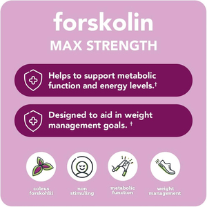 High quality Forskolin Max Strength Forskohlii Root Extract Supports <b>Metabolism</b> Weight Management & energy boost - Product Image 3