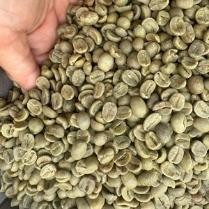 High Quality <b>Robusta</b> <b>Coffee</b> <b>Beans</b> for Roasting Dry Process Green <b>Coffee</b> <b>Beans</b> Full Washed Size 16 Vietnam Highland Farm Export - Product Image 5