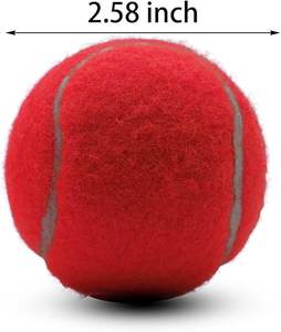Pelotas Deportivas para Torneos, de Goma, Alta Presión, Personalizadas, para Jugar al Cricket al Aire Libre, Pelota de Tenis de Competición - Product Image 6
