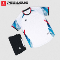 Ensemble de maillots de football Premium Pegasus en stock, 100% polyester, séchage rapide, respirant, impression numérique, logo personnalisé, taille élastique