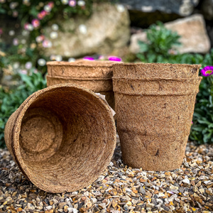 Eco2go Vietnam - Macetas Ecológicas Reutilizables de Fibra de Coco, Código 3071, Duraderas y Biodegradables para Uso en Jardín, Alta Calidad a Buen Precio - Product Image 5