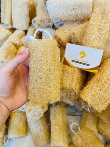 Eco-friendly Flat Luffa <b>Sponge</b> Bath Cleaning Tool for Skin Care and <b>Shower</b> Use - Product Image 1