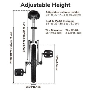 Monociclo con Ruota Cromata da 16 Pollici - Product Image 5