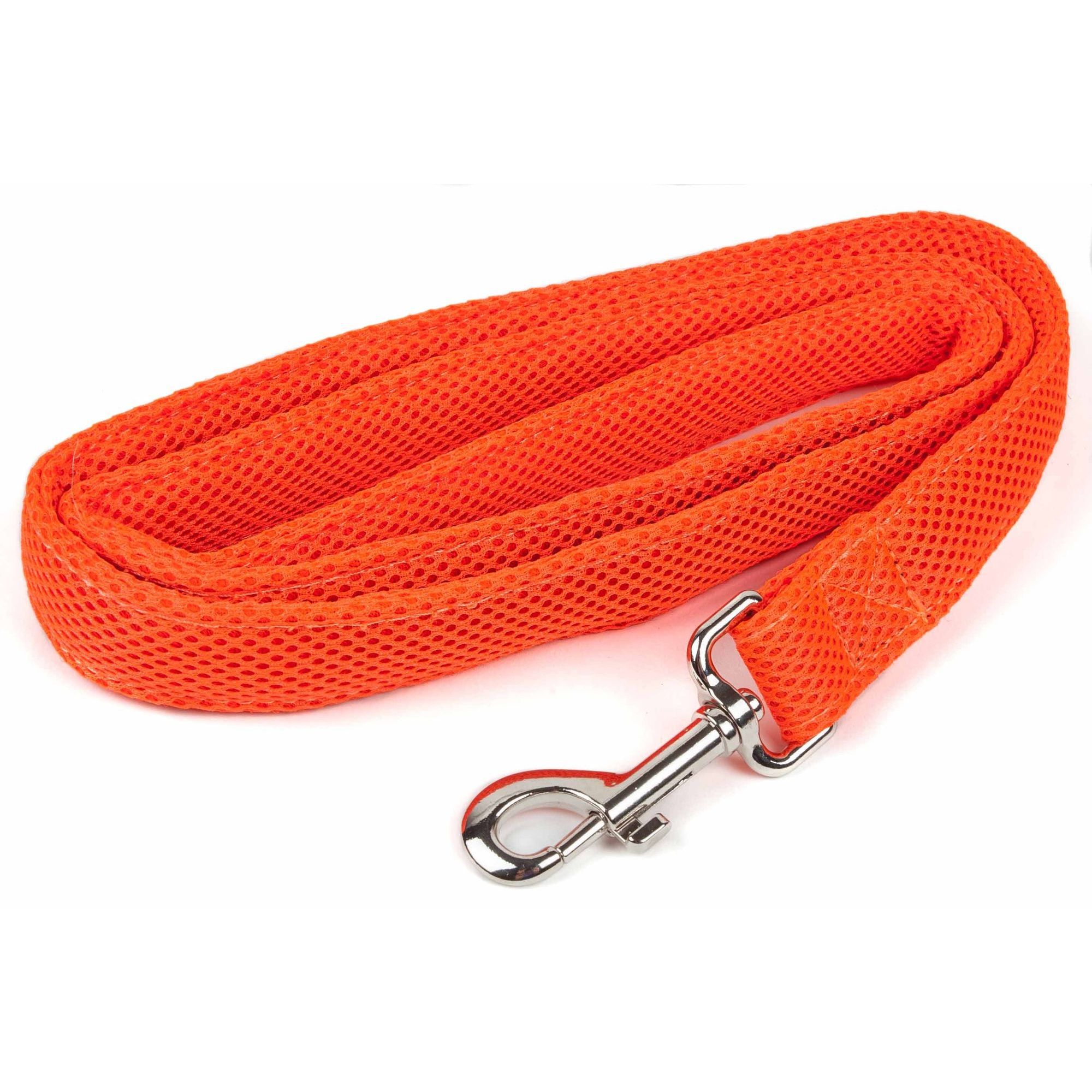 Orange Color
