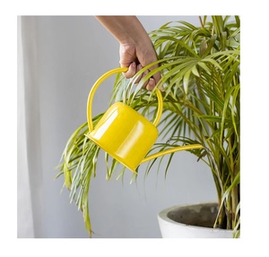 Arrosoir haut de gamme en acier en poudre galvanisé métal arrosoir pour plantes d'intérieur arrosoir fournisseur en gros - Product Image 2