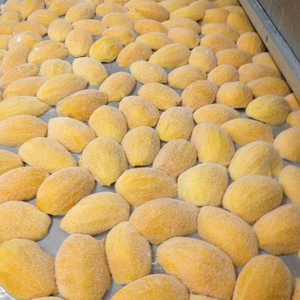 Mejillas de Mango Congeladas IQF de Fábrica Vietnamita, Material de Fruta Fresca para Mezclas de Jugos, Coberturas de Postres, Suministro Industrial - Product Image 1