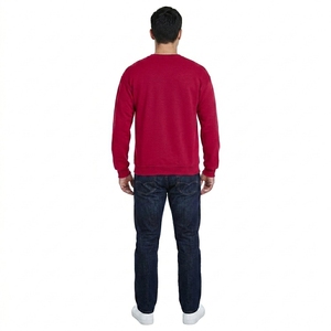 Vente en gros de sweat-shirts décontractés pour hommes à col rond, manches longues, pull-over, vêtements personnalisés, fabricant de vêtements - Product Image 2