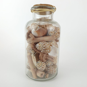 ขวดเปลือกหอยตกแต่ง ของที่ระลึกชายหาด ของสะสมเปลือกหอยขนาดเล็กในขวดแก้ว - Product Image 3