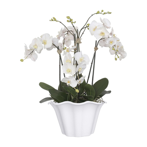 Maceta superventas para decorar el hogar y el jardín, maceta colgante ondulada con plástico de alta calidad - Product Image 3