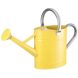 Arrosoir en métal pour l'arrosage contrôlé des plantes d'intérieur avec une poignée robuste et une conception durable - Product Image 2