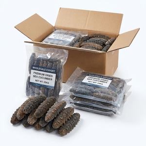 Concombre de mer noir de qualité export / Poisson séché (Teat fish) 500-600 USD/Tonne Commande de 10MT Fourniture en vrac de fruits de mer - Product Image 2